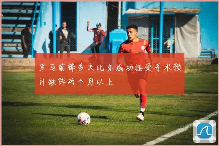罗马前锋多夫比克成功接受手术预计缺阵两个月以上